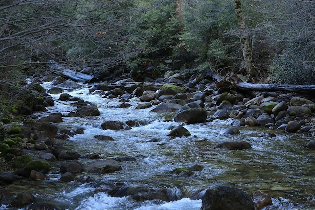 view of nature with a wooded view