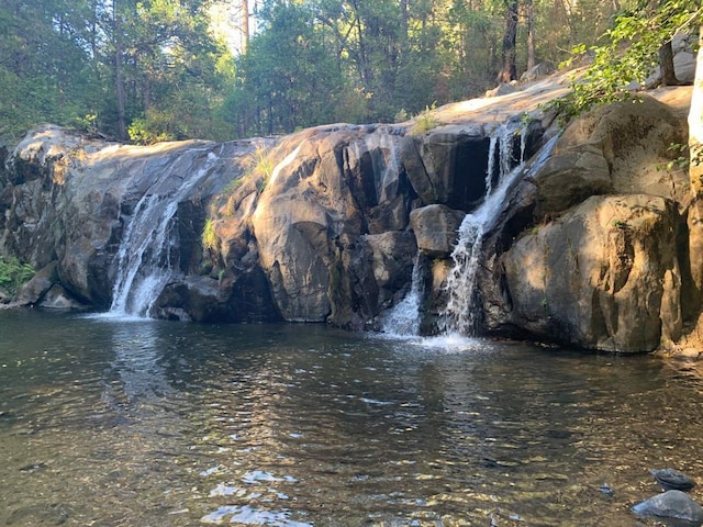 view of water feature featuring a forest view