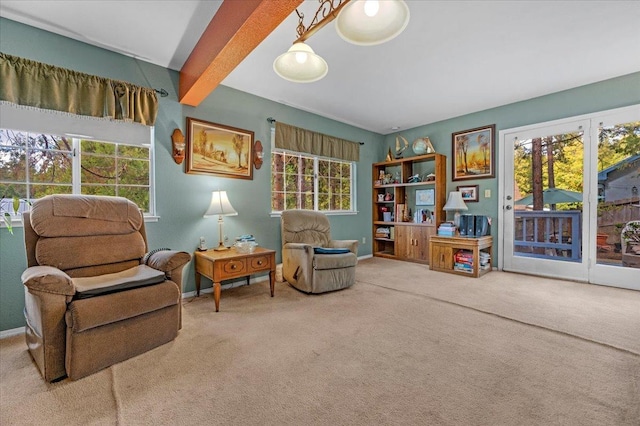 living area with beam ceiling, carpet floors, and plenty of natural light