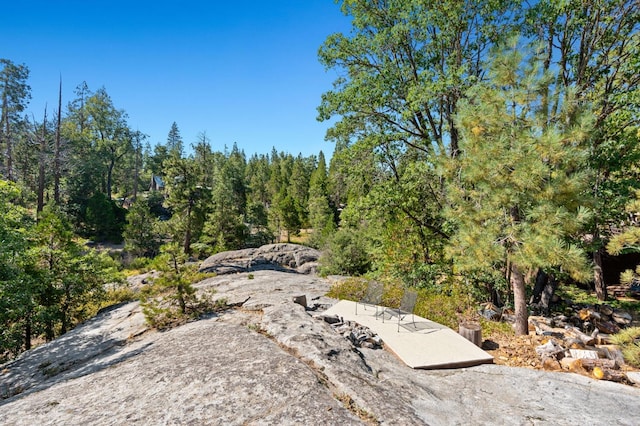 view of local wilderness