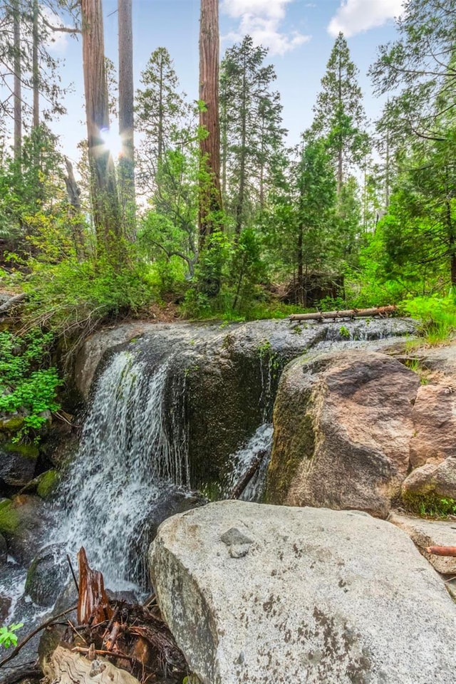 view of local wilderness