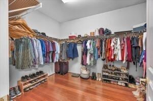 spacious closet featuring wood-type flooring