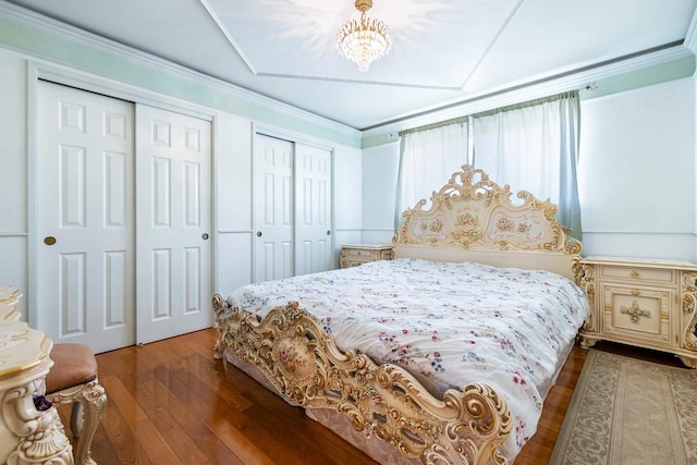 bedroom featuring wood-type flooring and two closets