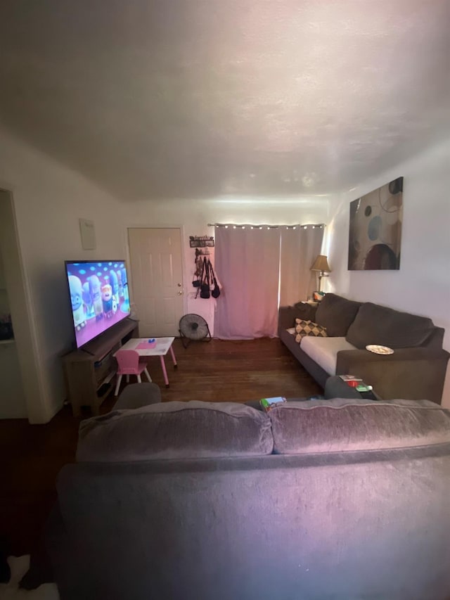 living room with wood-type flooring