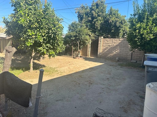 view of yard with a patio