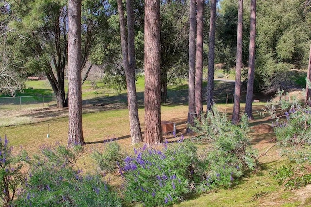 view of yard with a water view