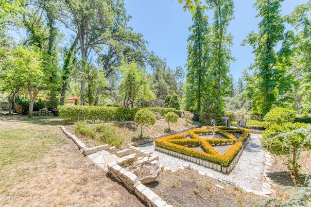 view of home's community with a lawn