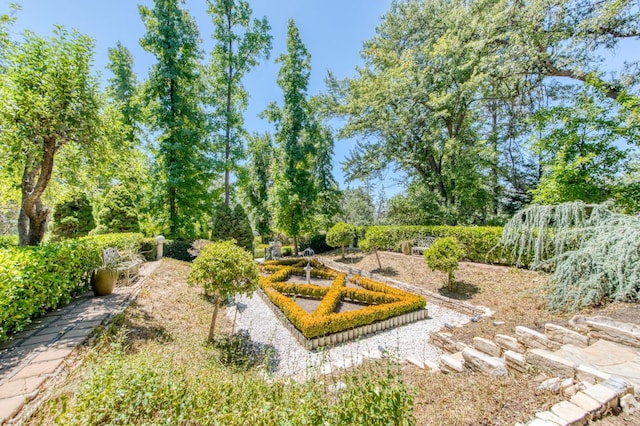 view of yard with a garden