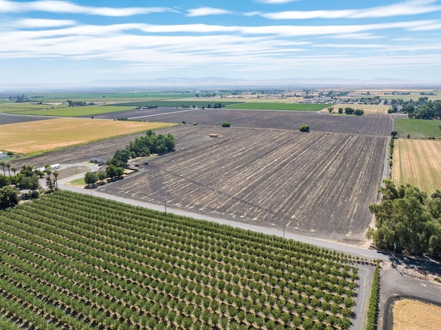 birds eye view of property featuring a rural view