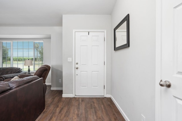 foyer entrance featuring dark hardwood / wood-style flooring