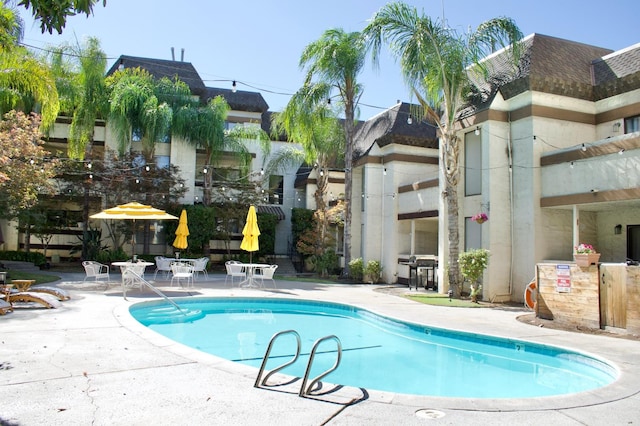 view of pool with area for grilling and a patio area