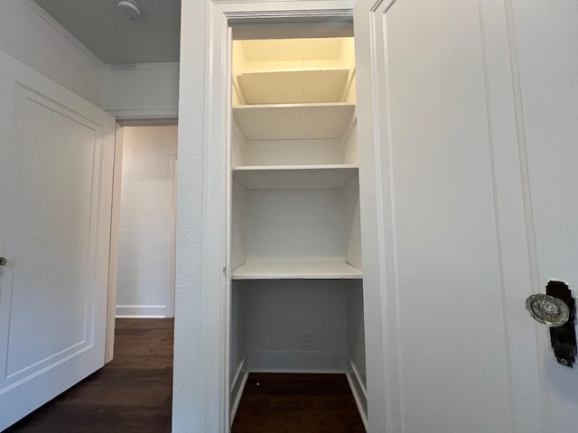 view of closet