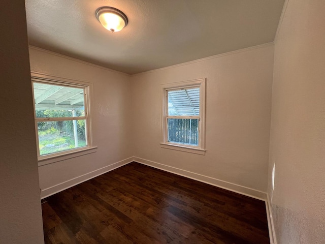 empty room featuring crown molding and dark wood-type flooring