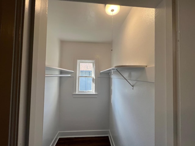 spacious closet with dark wood-type flooring