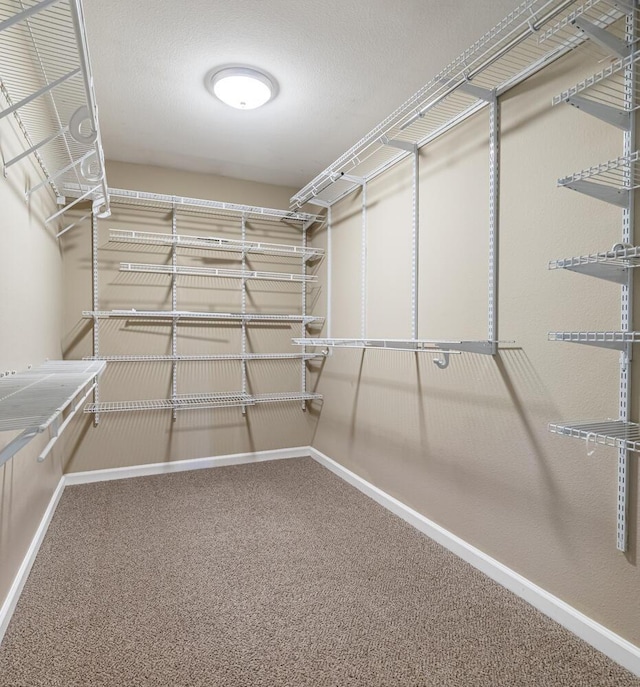 spacious closet with carpet