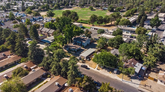 bird's eye view