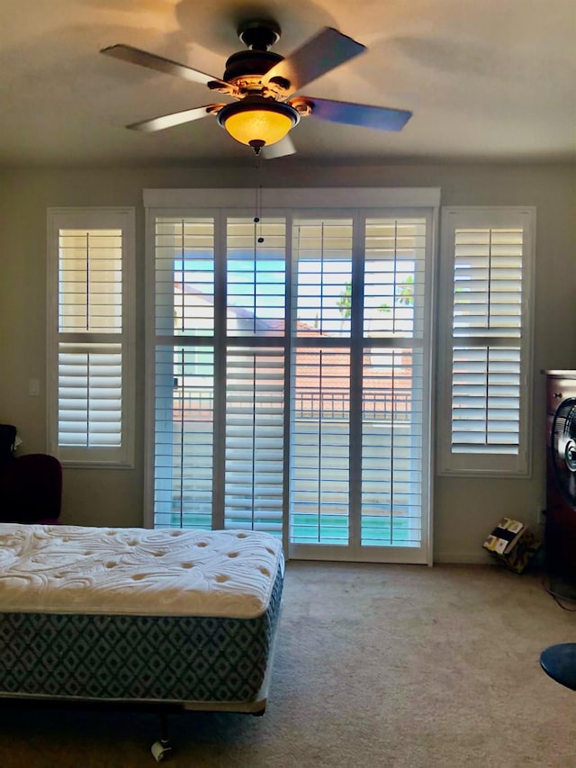 bedroom featuring ceiling fan, carpet floors, and multiple windows