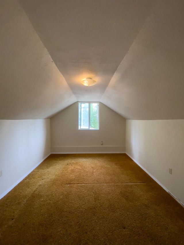 additional living space featuring vaulted ceiling and carpet floors