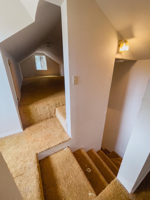 stairway featuring carpet