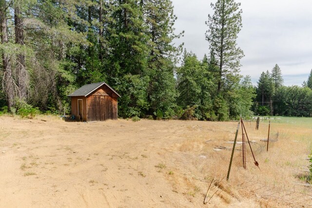 view of yard with a storage unit