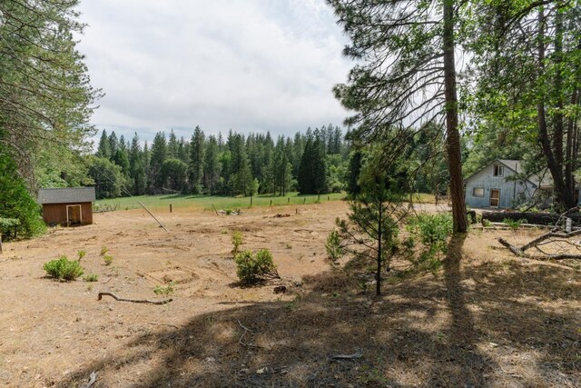 view of yard with an outdoor structure