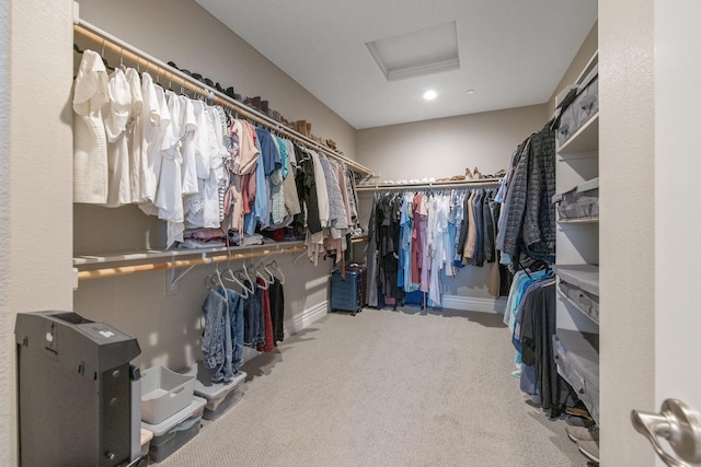 spacious closet featuring carpet flooring