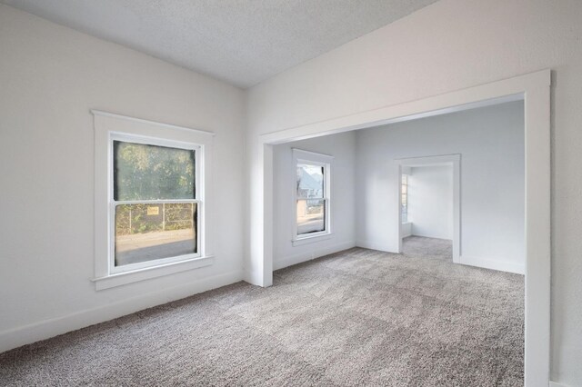 empty room with a wealth of natural light, a textured ceiling, and light carpet