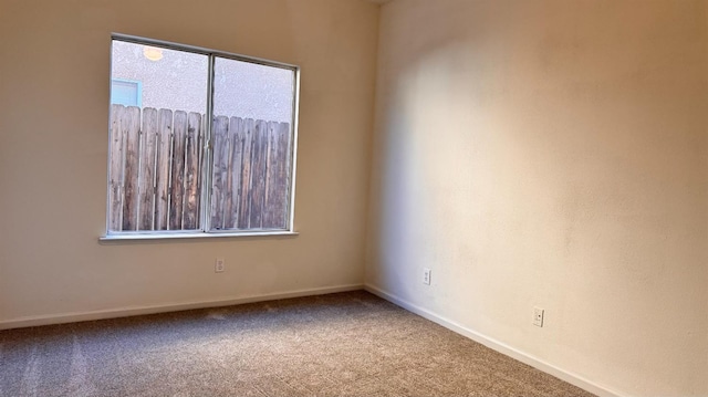 spare room featuring carpet flooring and plenty of natural light