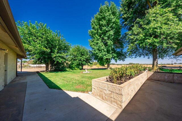 view of yard featuring a patio