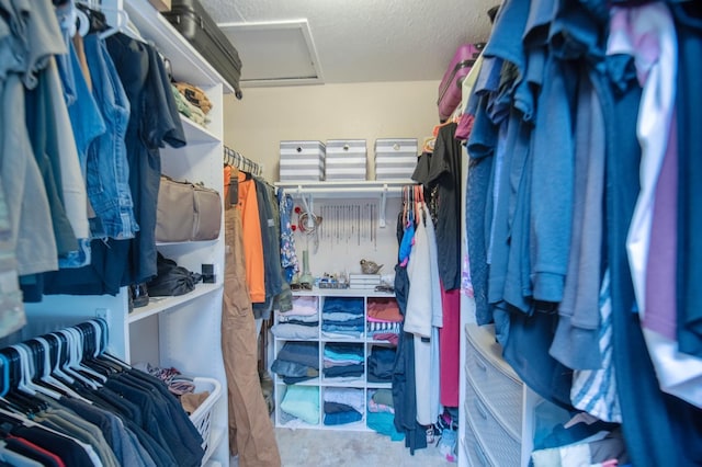 spacious closet with attic access