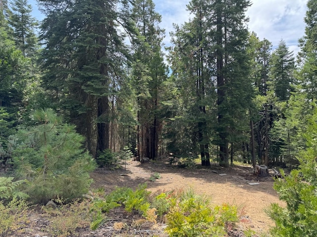 40541 Wild Rose Ln, Shaver Lake CA, 93664 land for sale