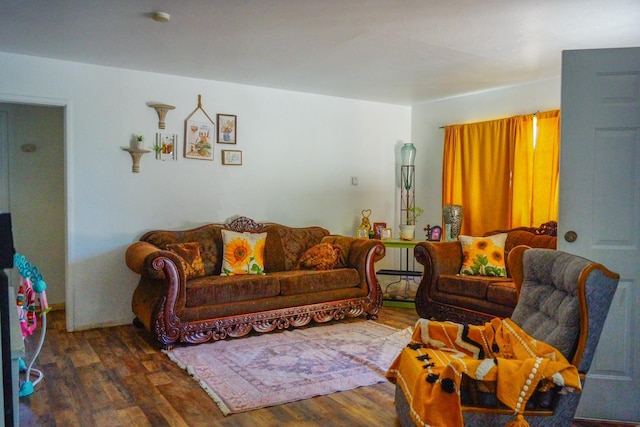 living room featuring dark wood-type flooring