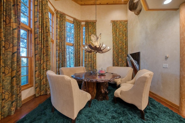 dining space with a wealth of natural light and hardwood / wood-style floors