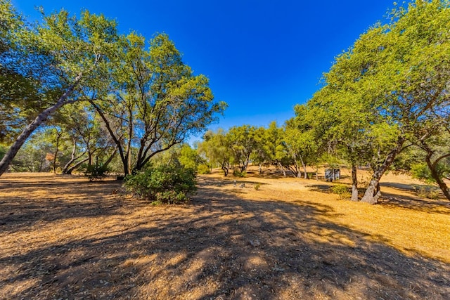 54544 Sunshine Terrace Dr, Coarsegold CA, 93614 land for sale