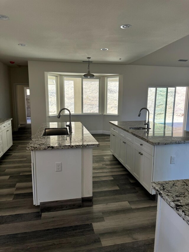 kitchen featuring hanging light fixtures, plenty of natural light, a center island with sink, and sink