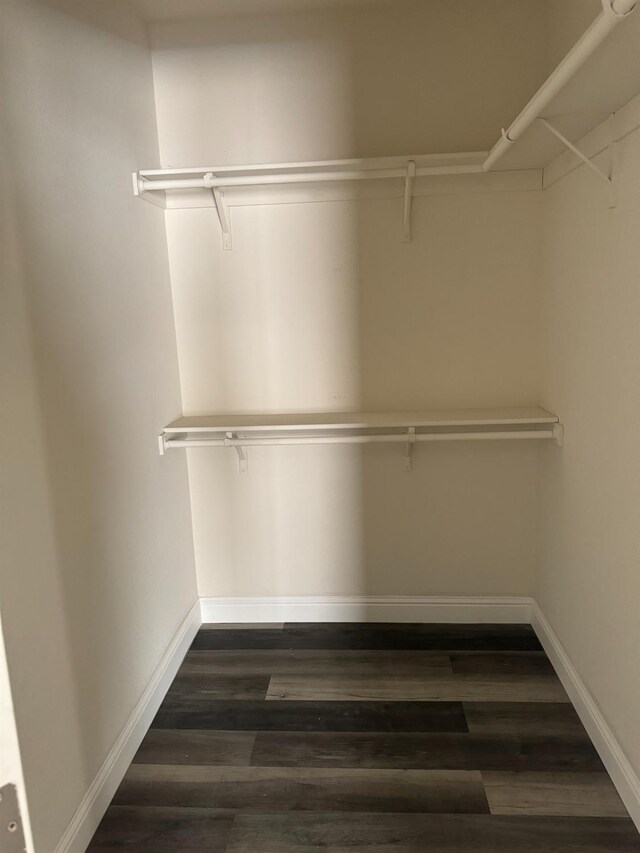 walk in closet featuring dark hardwood / wood-style flooring