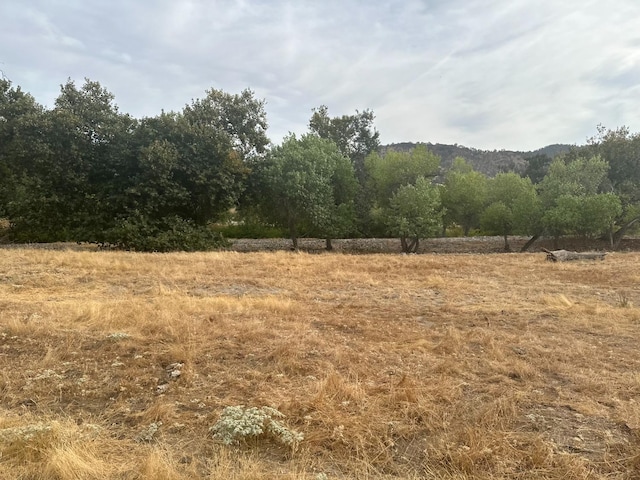 0 Gaston Dr, Sanger CA, 93657 land for sale