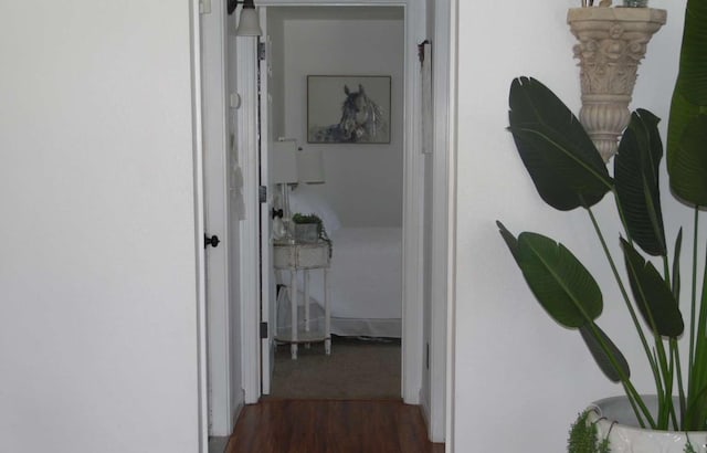 hallway with dark wood-style floors