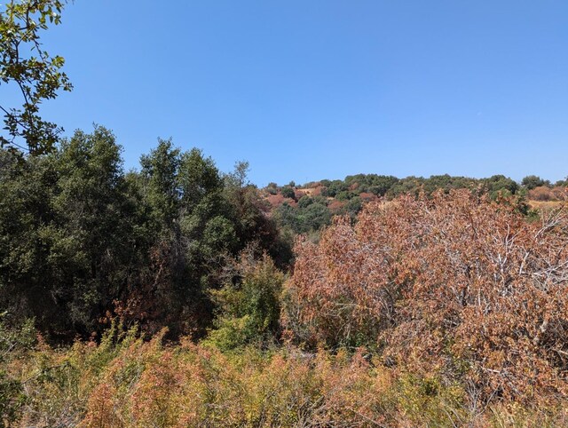 735 Bearclover Ln, Squaw Valley, CA 93675