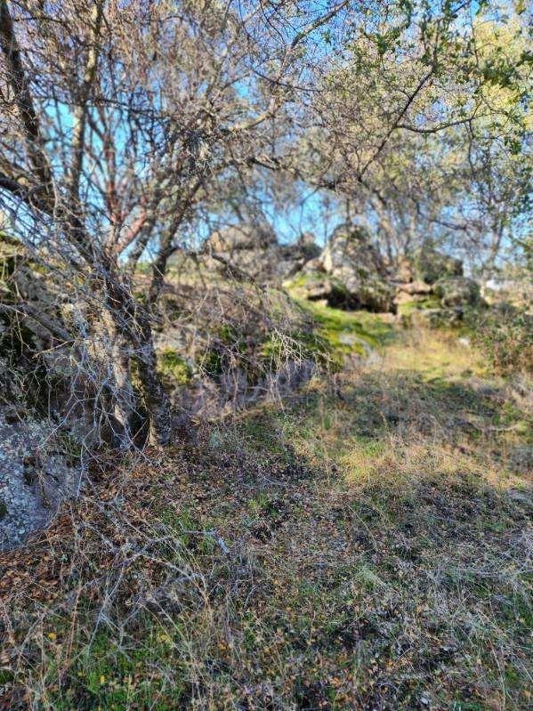 Listing photo 3 for 0 Kennedy Rd, Coarsegold CA 93614