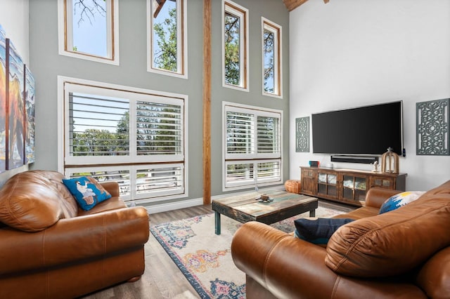 living room featuring a towering ceiling, plenty of natural light, and wood-type flooring