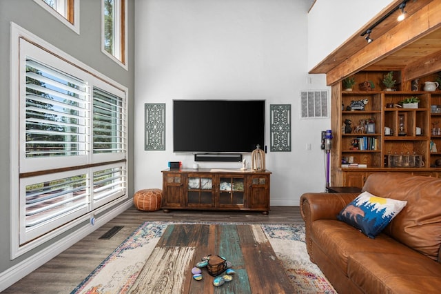 living room with a high ceiling and dark hardwood / wood-style floors