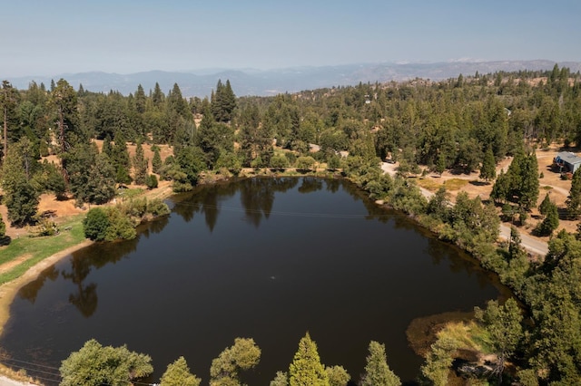 drone / aerial view featuring a water and mountain view