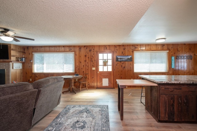 living room featuring wooden walls, light hardwood / wood-style floors, and a healthy amount of sunlight