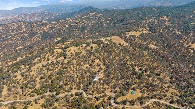 mountain view