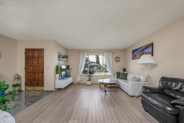 living room featuring hardwood / wood-style flooring and a textured ceiling