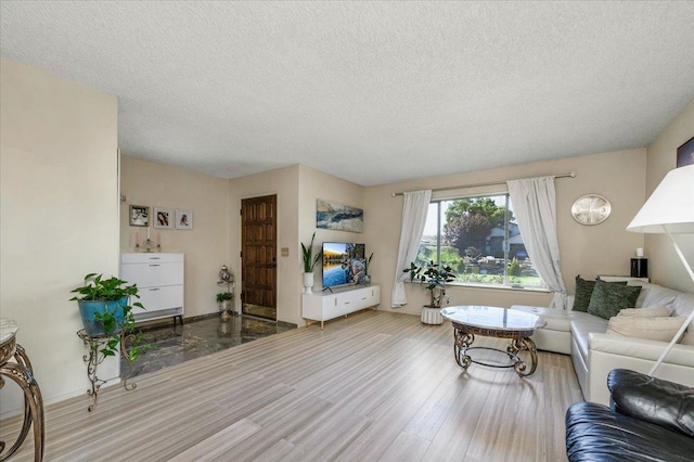 living room with a textured ceiling and wood-type flooring