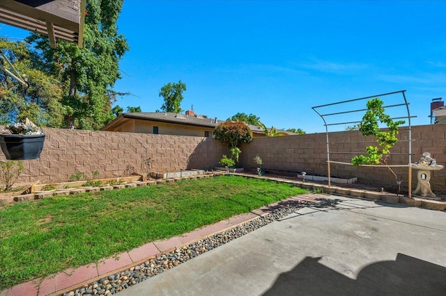 view of yard with a patio area