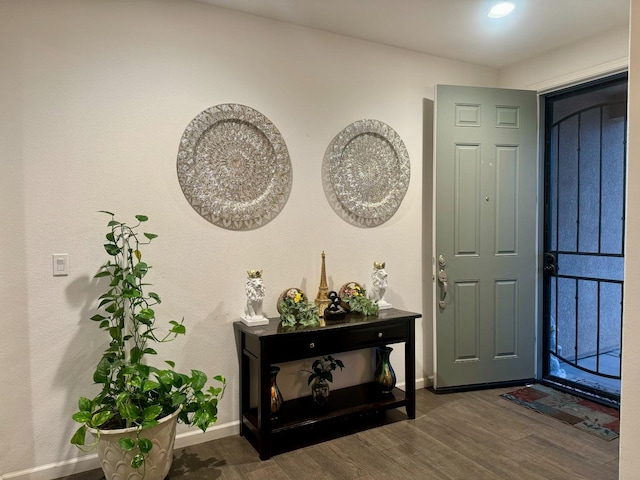 entrance foyer with dark hardwood / wood-style flooring