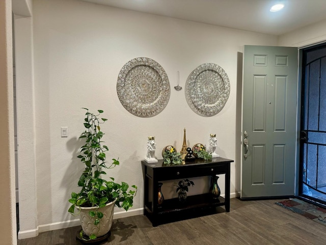 foyer entrance featuring dark hardwood / wood-style floors